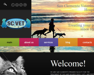 San Clemente Veterinary Hospital new website