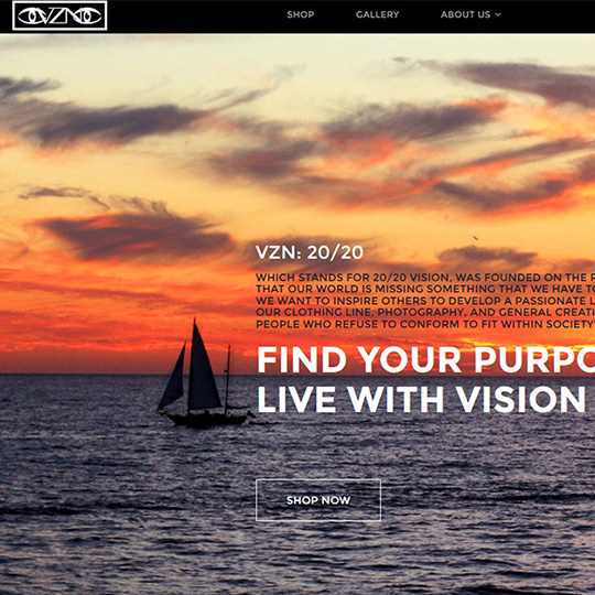 VZN 2020 Website by Web & Vincent