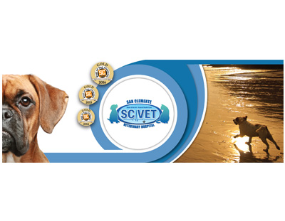 San Clemente Veterinary Hospital Facebook Banner by Web & Vincent