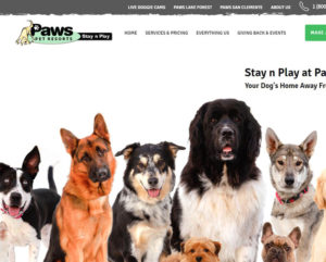 Paws Pet Resort Website by Web & Vincent