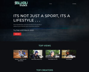 Blukru Website by Web & Vincent